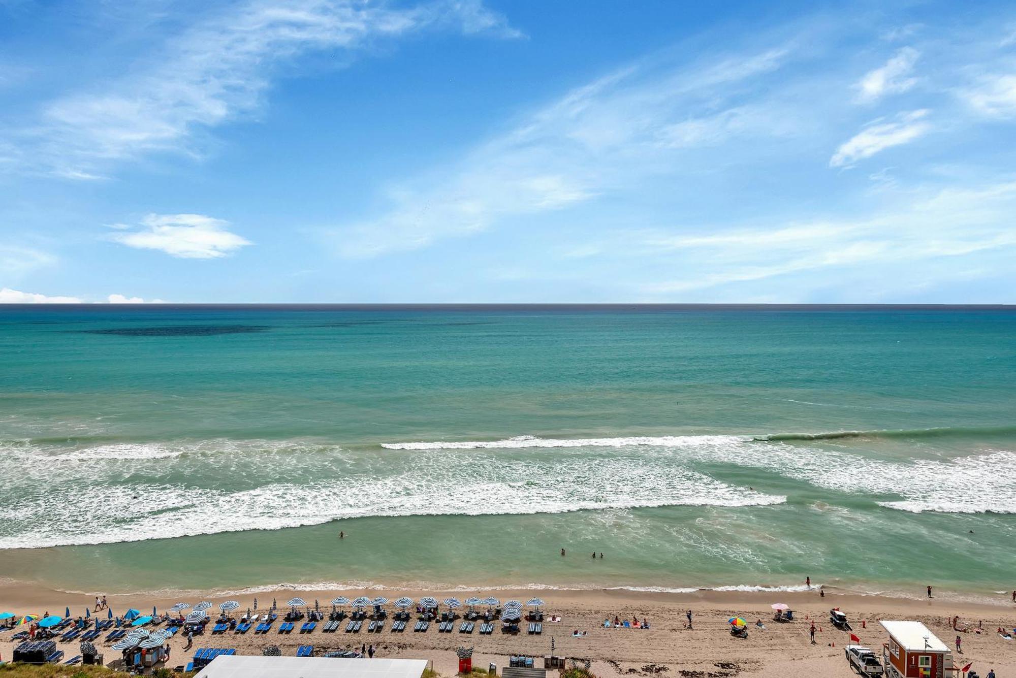 203-1Br/1Ba At The Beach Gem! Lux Amenities! Hollywood Eksteriør bilde